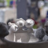 Marché Céramique Contemporaine Giroussens 3-4-5 juin 2017