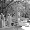 nepenthes | Terre et Terres | Exposition | Accueil | Article | Terre et Terres | 12 février 2025