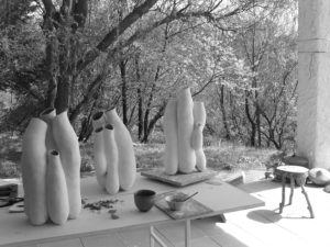 Accueil | Terre et Terres nepenthes | Terre et Terres | Exposition | Accueil | Article | Terre et Terres | 12 février 2025