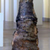 Exposition 2003 Anagama