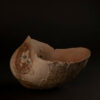 image2 5 | Terre et Terres | Exposition | Accueil | Article | Terre et Terres | 12 février 2025