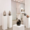 Exposition 2012 Raku