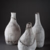 image7 6 | Terre et Terres | Exposition | Accueil | Article | Terre et Terres | 12 février 2025