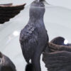 NUEE | Terre et Terres | Exposition | Accueil | Article | Terre et Terres | 12 février 2025