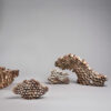 Exposition Mobile/Immobile - Manon Berthellot