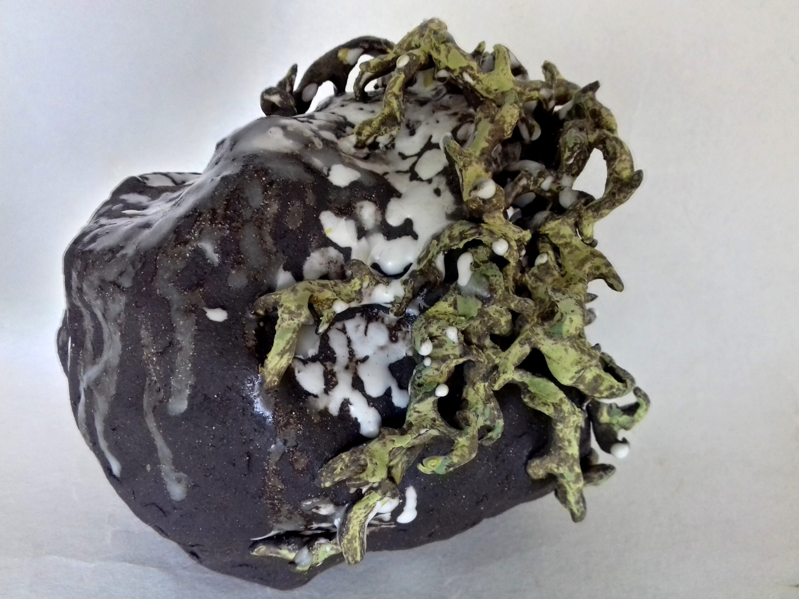 caillou au lichen enneigé | Terre et Terres cailloua u lichen enneige scaled | Terre et Terres | Exposition | caillou au lichen enneigé | Article | Terre et Terres | 12 août 2026