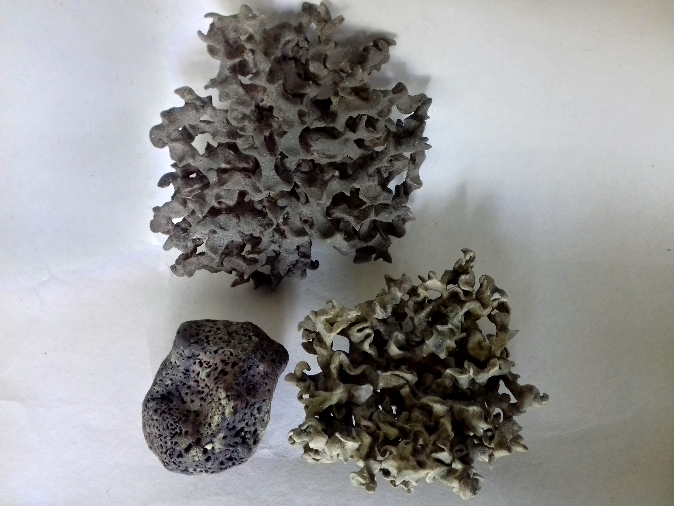 Deux lichens verts tortueux et petit caillou | Terre et Terres deux lichens tortueux et caillou vert.1 scaled | Terre et Terres | Exposition | Deux lichens verts tortueux et petit caillou | Article | Terre et Terres | 12 août 2026